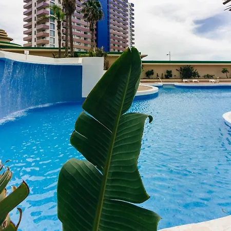 Two Bedroom Paraiso Apartment